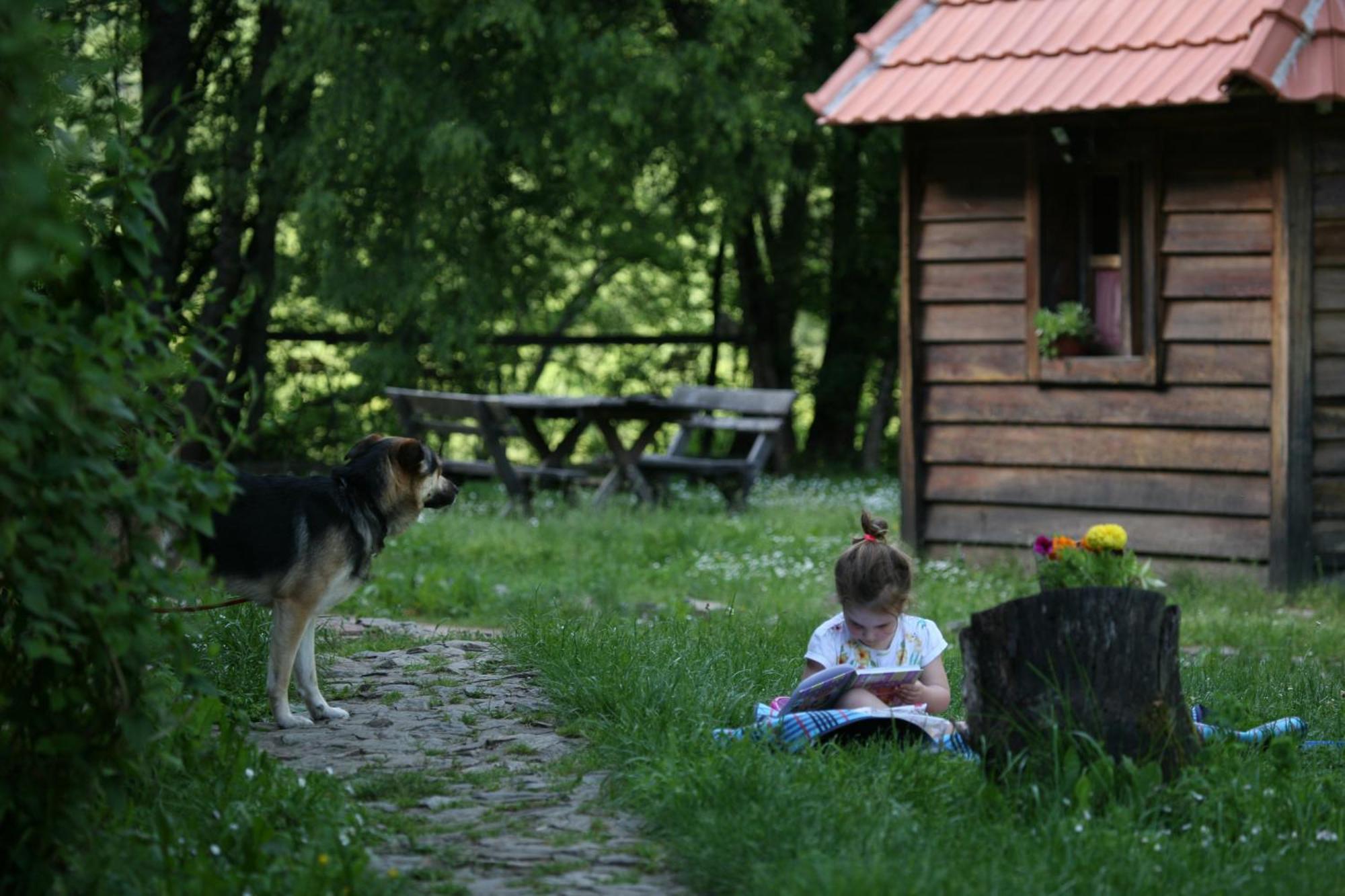 Grab Ethno Village And Camp Scepan-Polje Zimmer foto