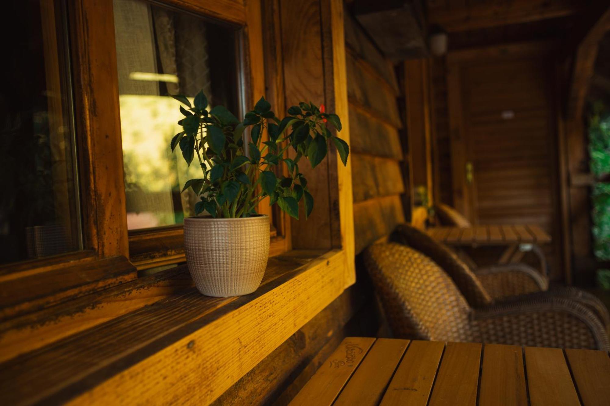 Grab Ethno Village And Camp Scepan-Polje Exterior foto