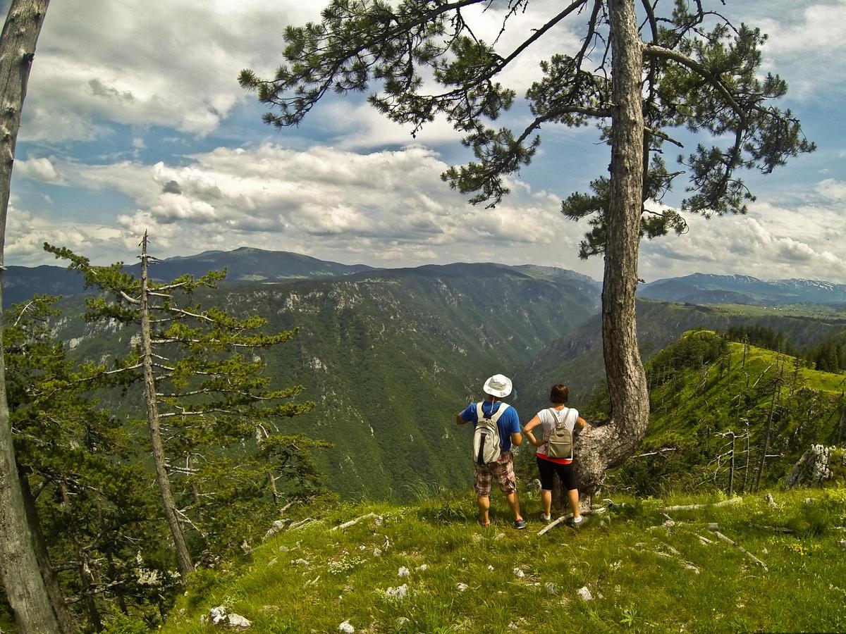 Grab Ethno Village And Camp Scepan-Polje Exterior foto